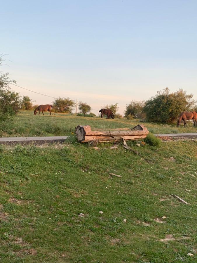Cabanas Buenache Buenache de la Sierra Esterno foto